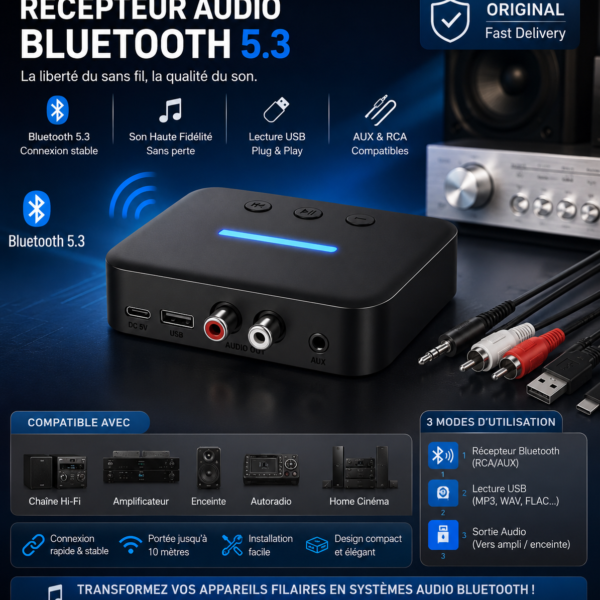 Récepteur Audio Bluetooth 5.3– Adaptateur Sans Fil AUX/RCA, Lecture USB, Pour Chaîne Hi-Fi et Amplificateur